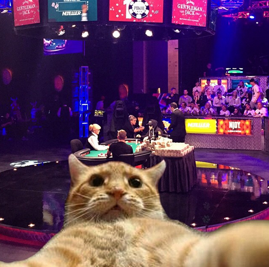 WSOP 2015: The COLOSSal cheating