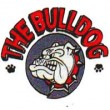 Bulldog Pub & Casino logo