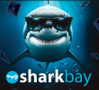 SharkBay | Divonne les Bains, 24 - 30 NOV 2025